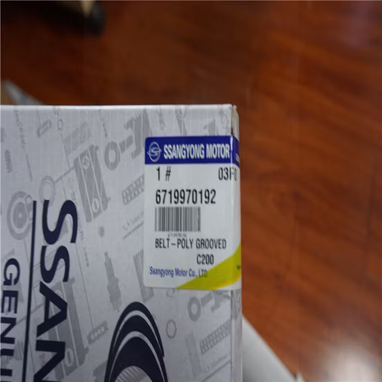 6719970192 Cintura a V con scanalature Poly Grooved di Ssangyong